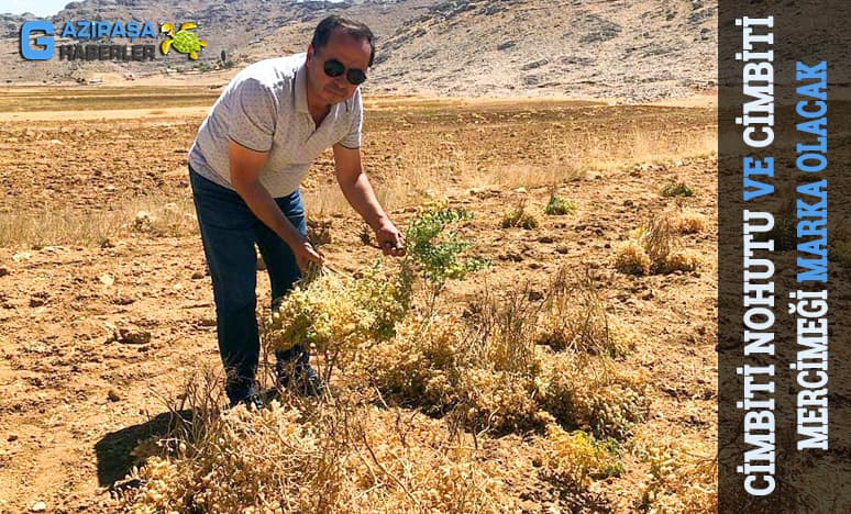 Cimbiti Nohutu Ve Cimbiti Mercimeği Marka Olacak